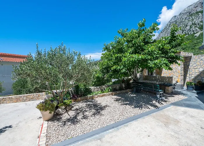 Nikola Макарська