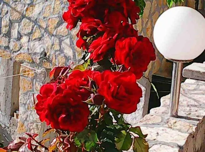 Апартаменти Nikola *